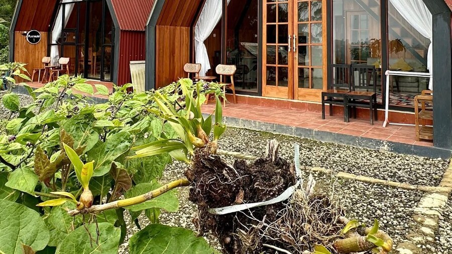 Villa Platinum 2