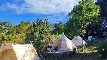 Two beige tents with chairs and potted plants, set in a grassy area with trees and a clear sky.