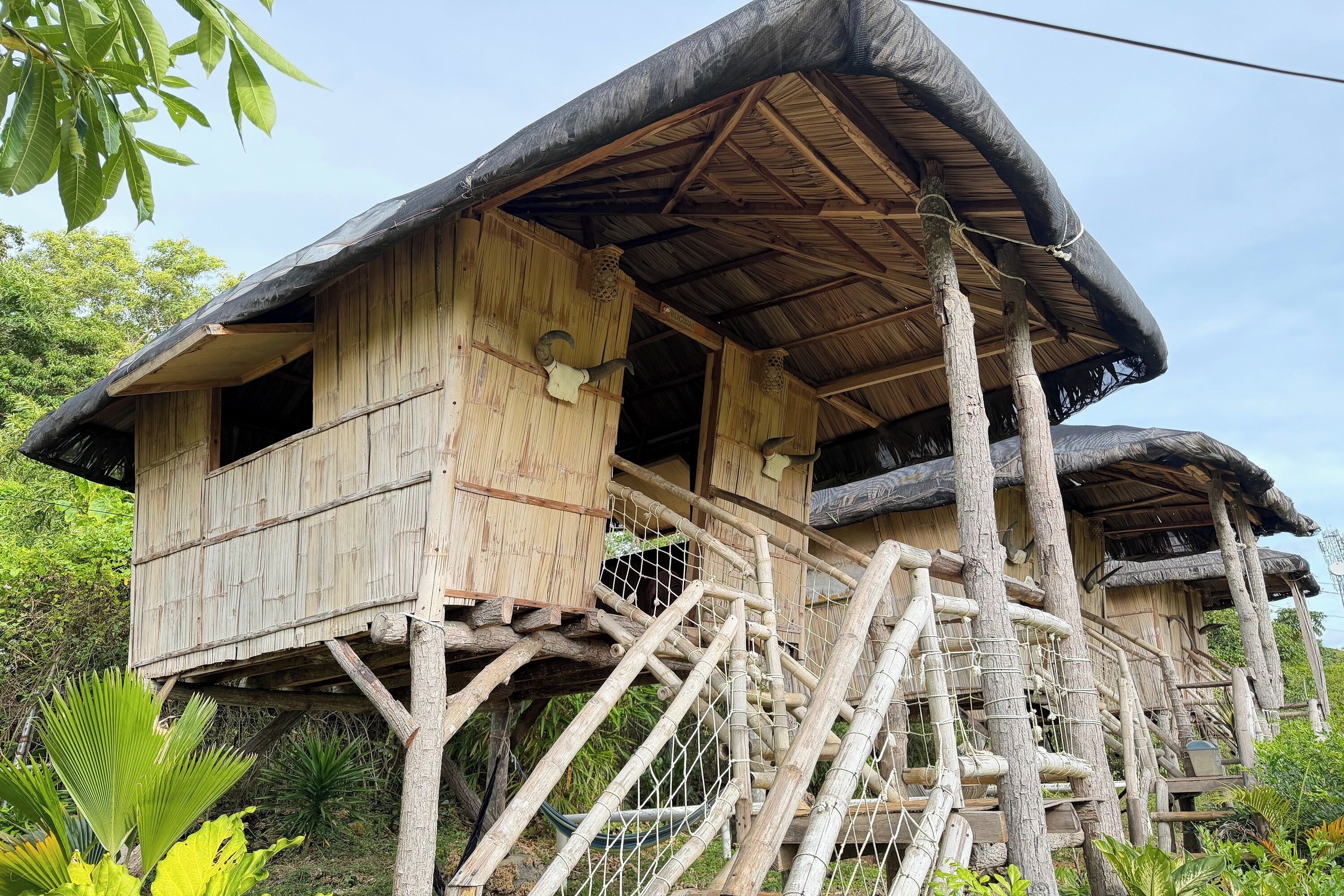 A wooden house with a thatched roof, elevated on stilts, surrounded by greenery.