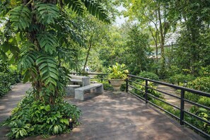 A wooden deck with benches and potted plants, surrounded by lush greenery.