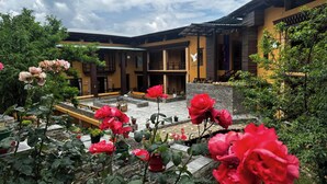 A courtyard with a traditional building, potted plants, and red flowers. - Haven Resort and Spa (Paro)