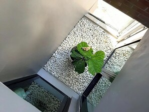 Interior - Little One Hostel (Chiang Rai)