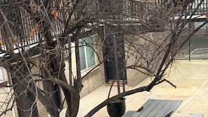 Un patio con sillas Adirondack, una mesita y un árbol.