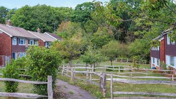 A rural pathway leading to a residential area with houses and a wooden fence.