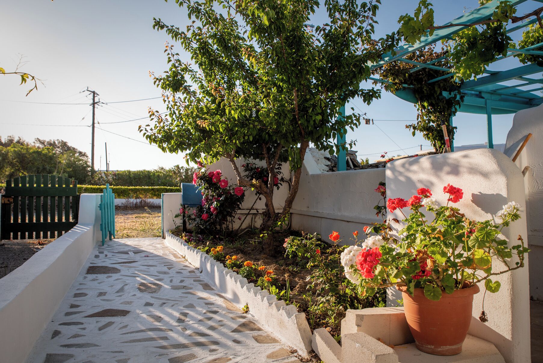 Standardlejlighed - 2 soveværelser - udsigt til have - ved stranden | Overnatningsstedets område