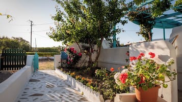 Standardlejlighed - 2 soveværelser - udsigt til have - ved stranden | Overnatningsstedets område