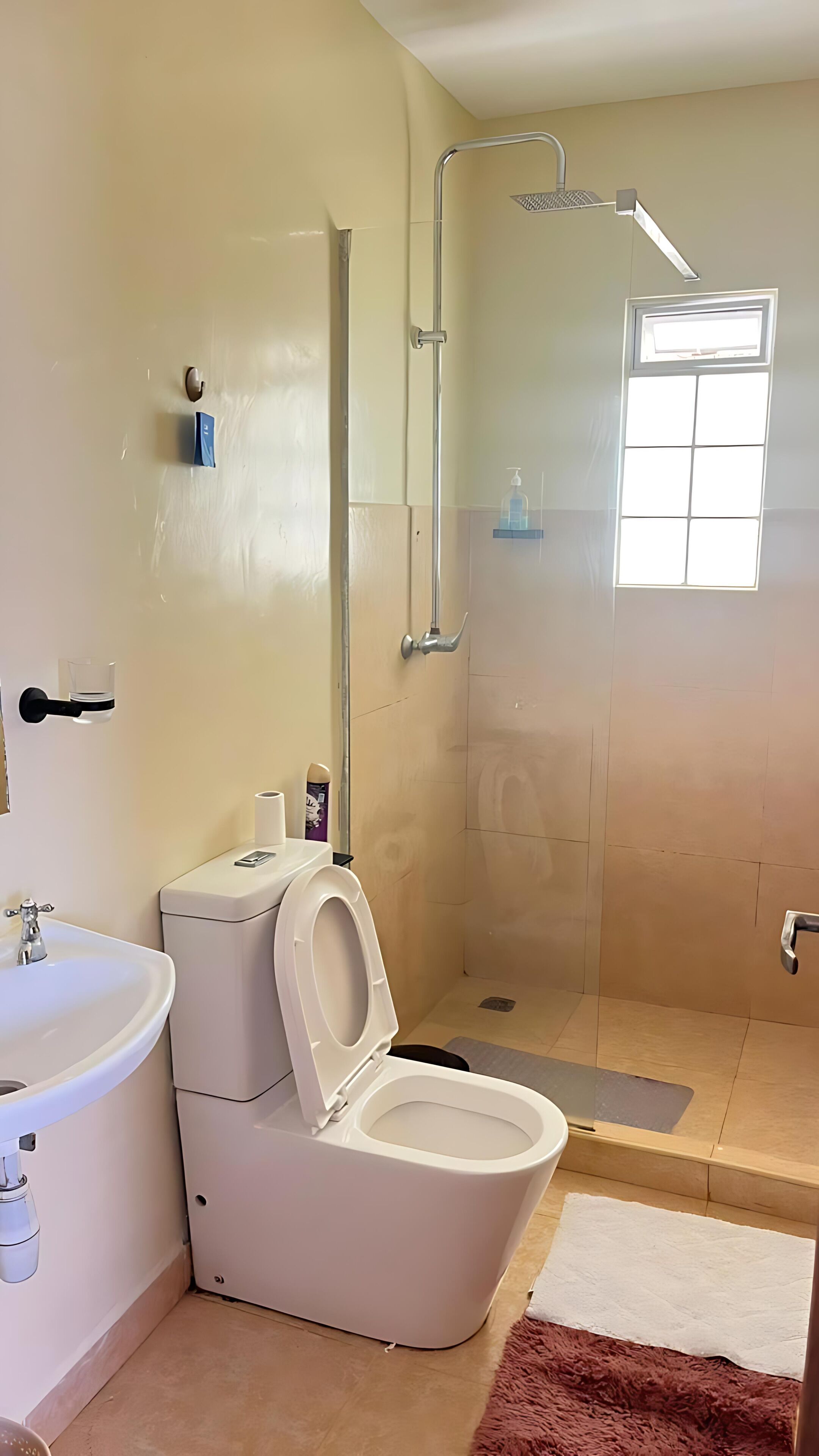 A bathroom with a toilet, sink, shower, and a window.