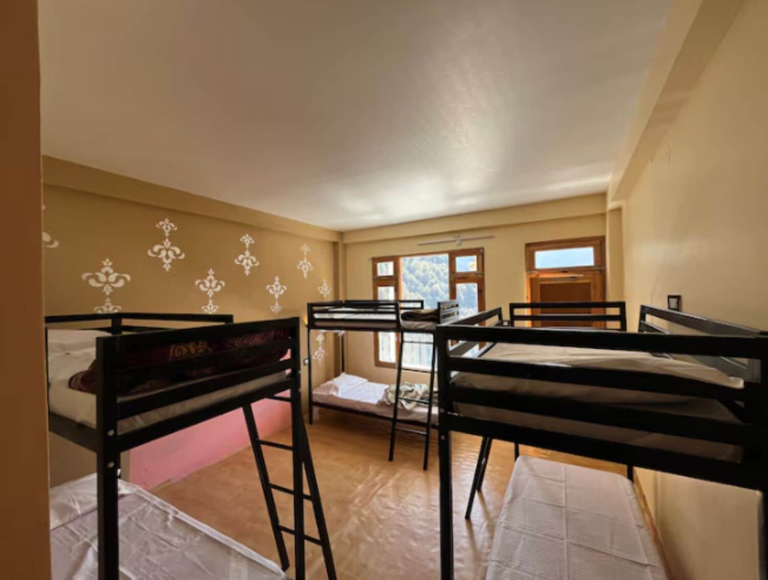 Comfort Shared Dormitory