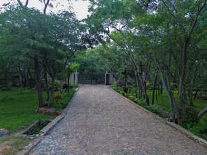 Property grounds - Chishongo residence, your peaceful Darwendale getaway (Zvimba)