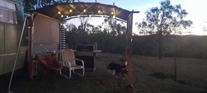 Property grounds - Vintage Bedford Bus Farm Glamping Under the Stars (Silverwood)