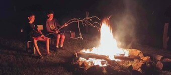 Vintage Bedford Bus Farm Glamping Under the Stars