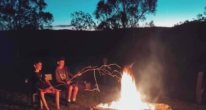 Vintage Bedford Bus Farm Glamping Under the Stars