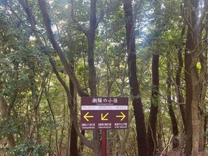 Kahden hengen economy-huone (kaksi sänkyä), kaupunkinäköala | Sekalaista