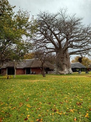 Parco della struttura