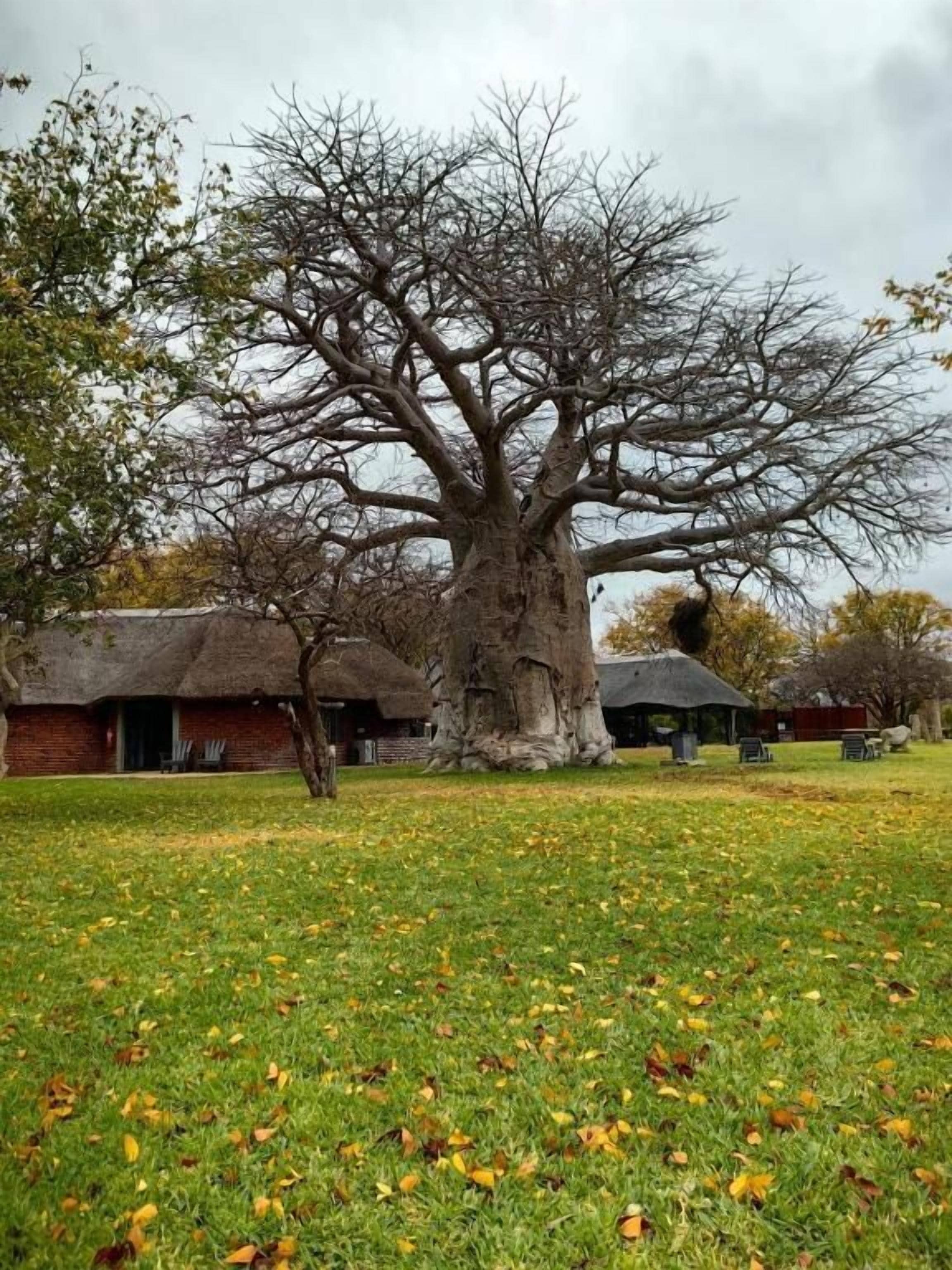 Dobbelt- eller tomannsrom – deluxe, terrasse, hageutsikt | Overnattingsstedets uteområder