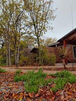 Uma área ajardinada com árvores, um edifício de tijolos e diversas plantas.