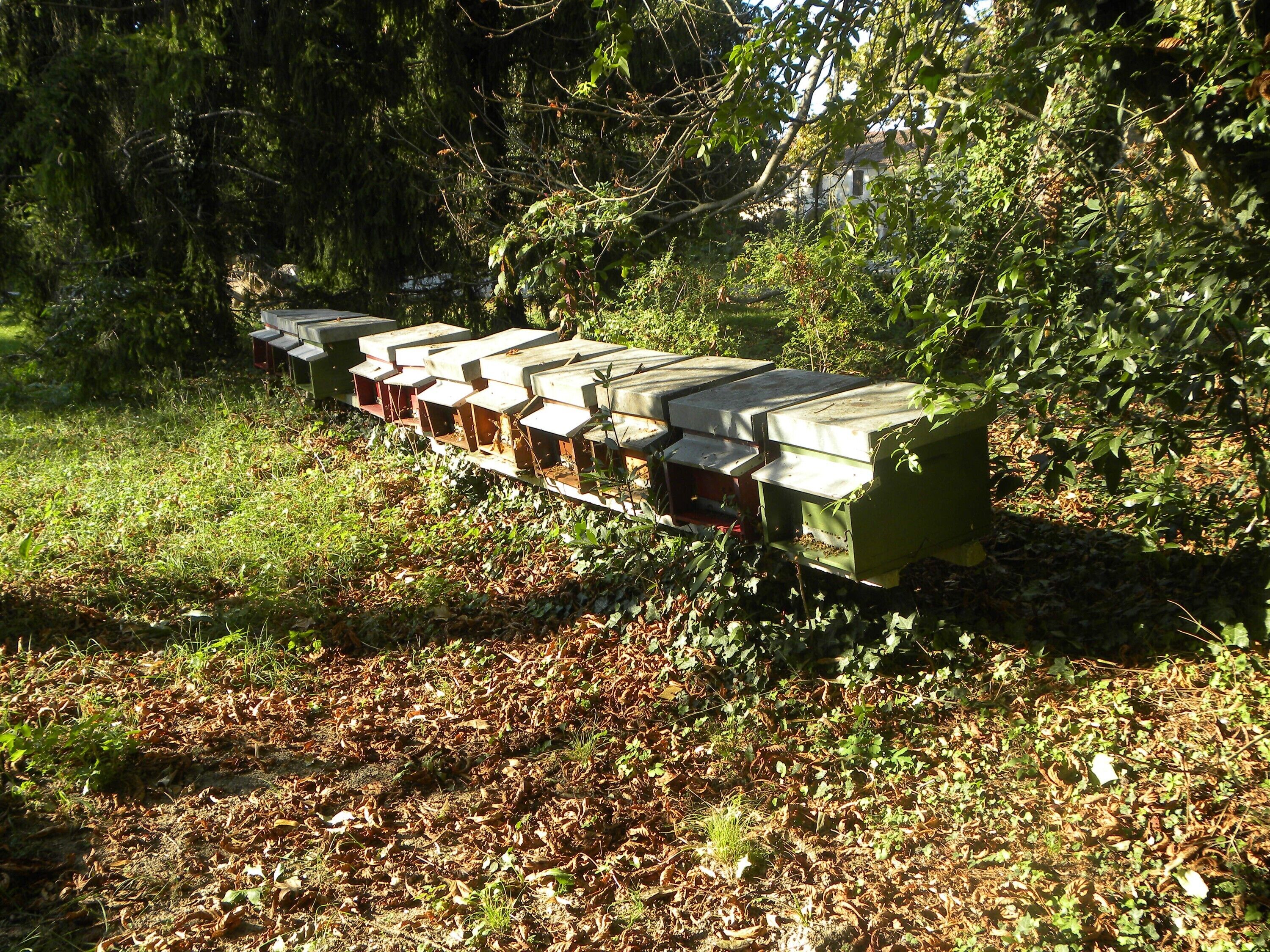 Parco della struttura