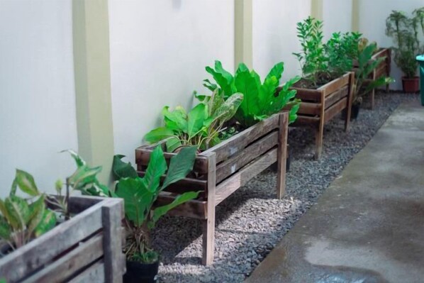 Property amenity - Villa in Dauis Panglao Island - Zhenrentals (Dauis)