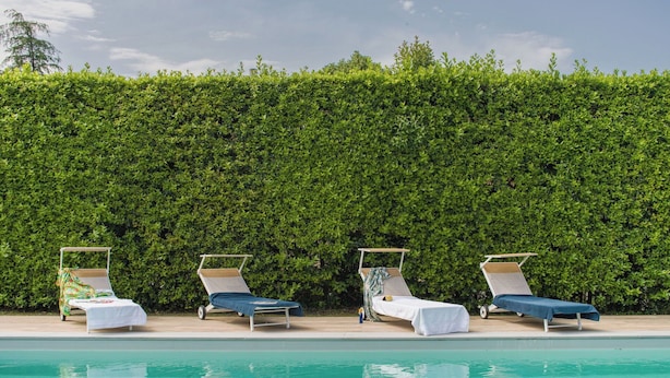 Un espace aménagé au bord de la piscine, avec quatre chaises longues et une haie en arrière-plan.