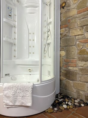 Shower, hair dryer, bidet, towels