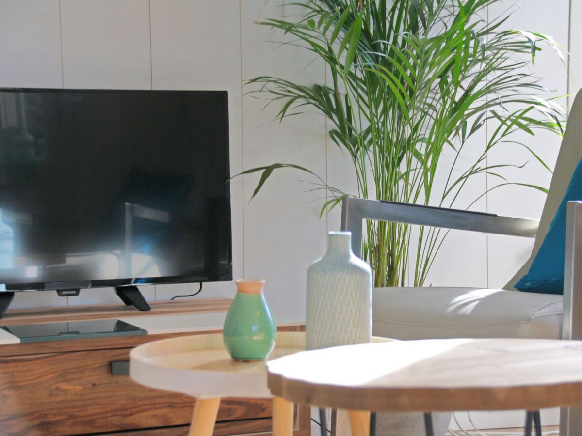 TV connectée, cheminée, table de tennis de table, livres