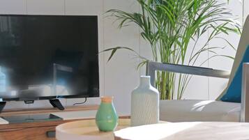 Een smart-tv, een open haard, een tafeltennistafel en boeken