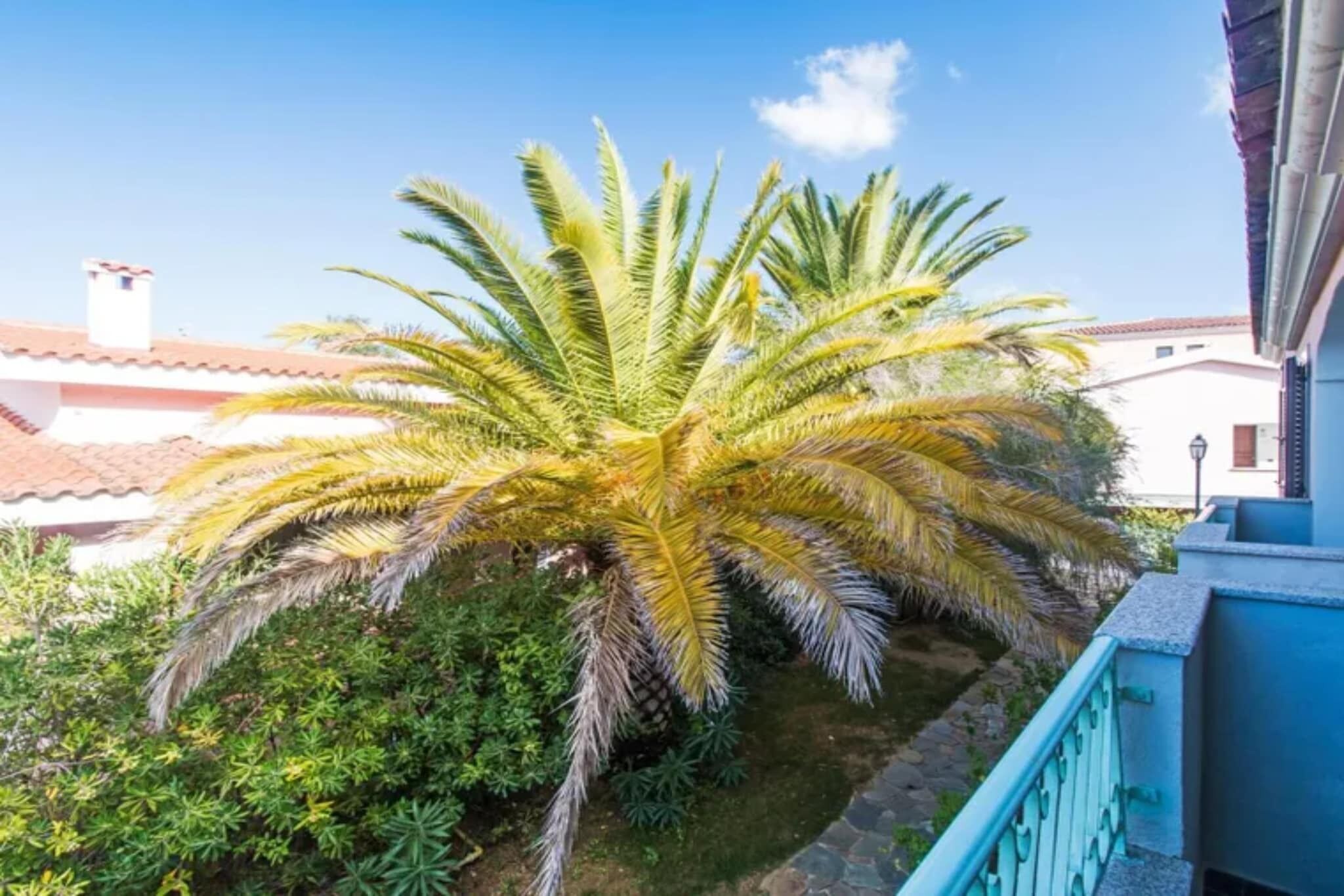 Ein Balkon mit blauer Brüstung, der auf einen Garten mit einer Palme und anderer Vegetation blickt.