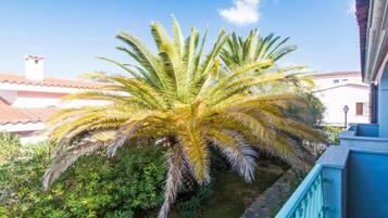 Ein Balkon mit blauer Brüstung, der auf einen Garten mit einer Palme und anderer Vegetation blickt.
