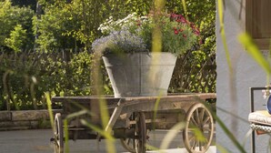 A garden cart with a flower pot on a paved surface, surrounded by greenery. - Apartment in Grainau am Badersee (Graifenau)