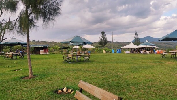 An outdoor seating area with tables and chairs under umbrellas, surrounded by grass and trees.