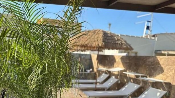 Un área de lounge en la azotea con sillones y una planta grande en maceta.