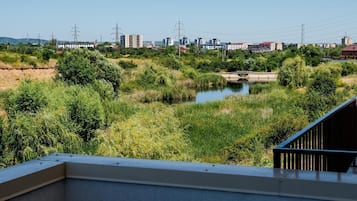 المنطقة المحيطة بالمنشأة