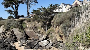 A coastal landscape with rocky terrain, a large tree, and residential buildings.