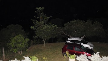 Bungalow | Property grounds