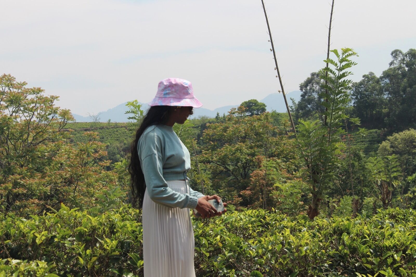 A person standing in a lush, green tea plantation with mountains in the background.