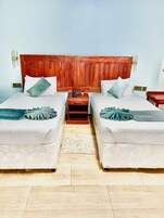 Twin Room, Mountain View | Desk, laptop workspace, iron/ironing board, free WiFi