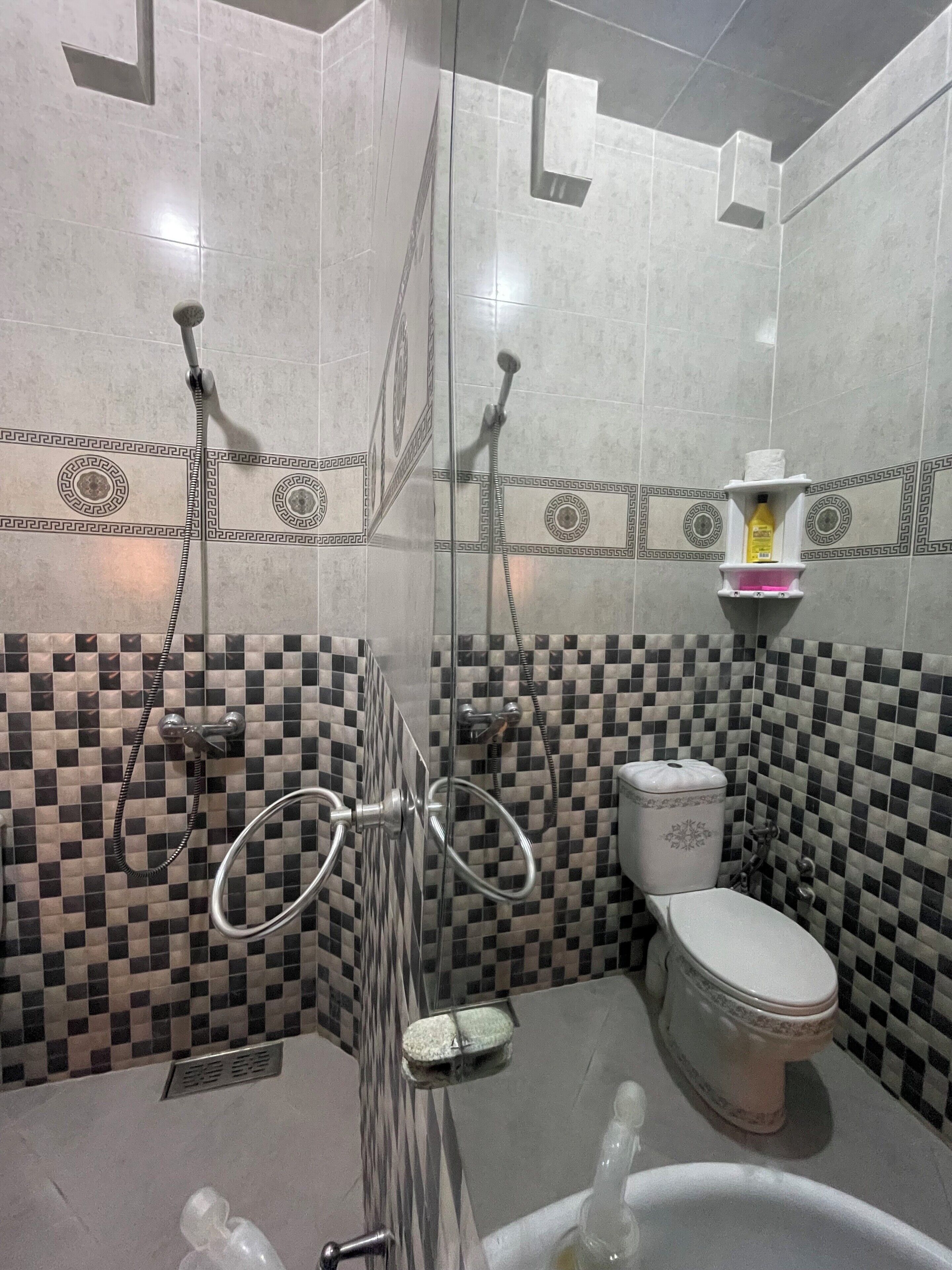 Un baño con pared de azulejos a cuadros, inodoro, cabina de ducha con mampara de vidrio y estante con artículos de aseo.