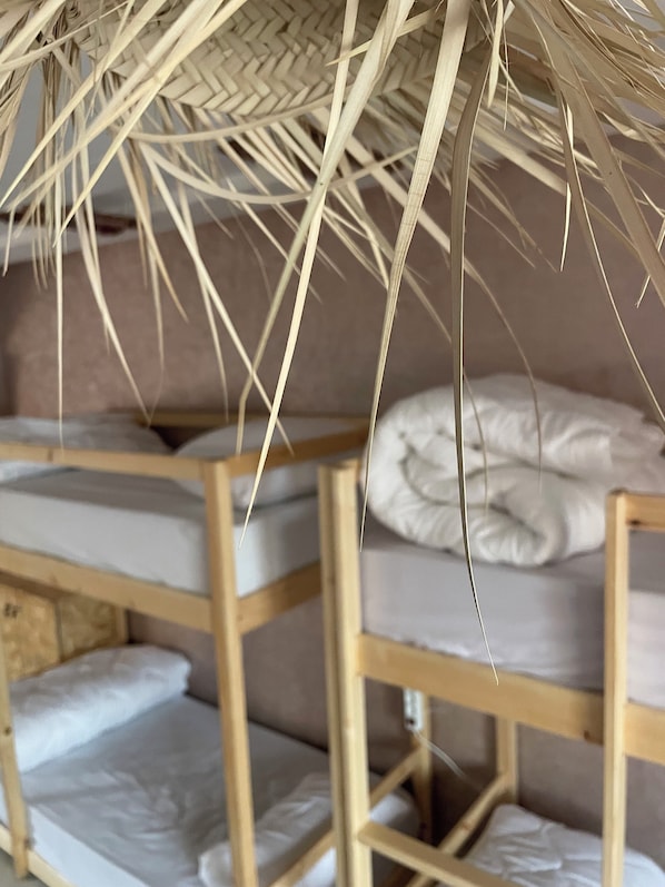 Free WiFi - tayri surf house (Aourir)