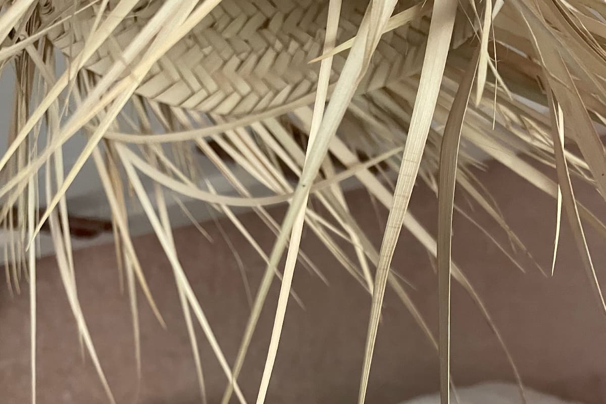 ห้องสแตนดาร์ดพักรวม, หอพักรวม, ปลอดบุหรี่, บริการทำความสะอาด | เครื่องนอนป้องกันสารก่อภูมิแพ้, Wi-Fi ฟรี, ผ้าปูที่นอน