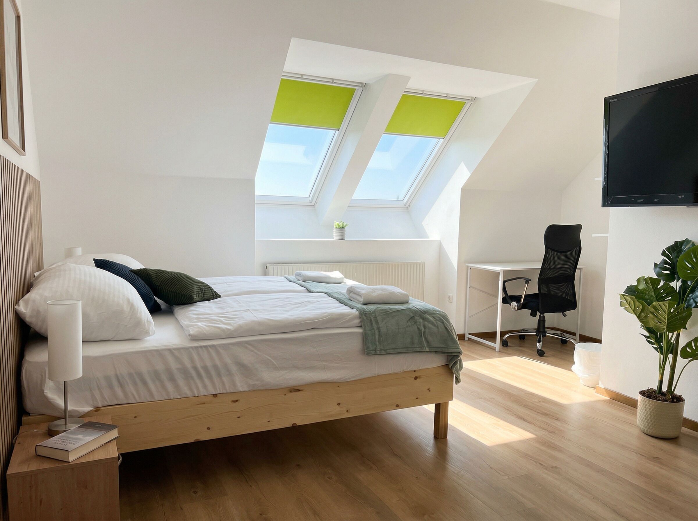 Basic Apartment