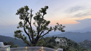 A large tree in a fenced area with a view of distant hills. -  Panoramic views of the Doon Valley and Mussoorie Hills - A Serene Hideaway. (Dhaula Giri)