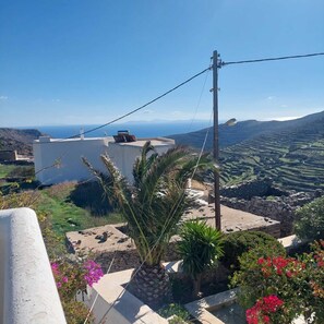 Une terrasse offrant une vue sur la mer, un mur en pierre et quelques plantes.
