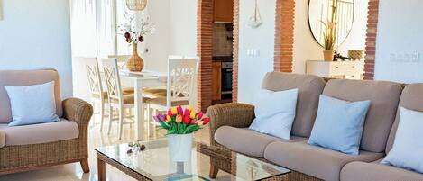 Smart TV, fireplace, books