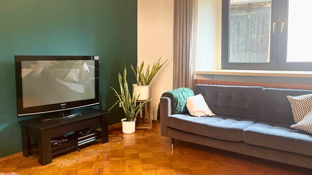 A living room with a flat-screen TV on a black stand, a grey sofa with cushions, a potted plant, and a window with curtains. - Old farm f. Teams and families in the wine village with excellent connections (Albig)