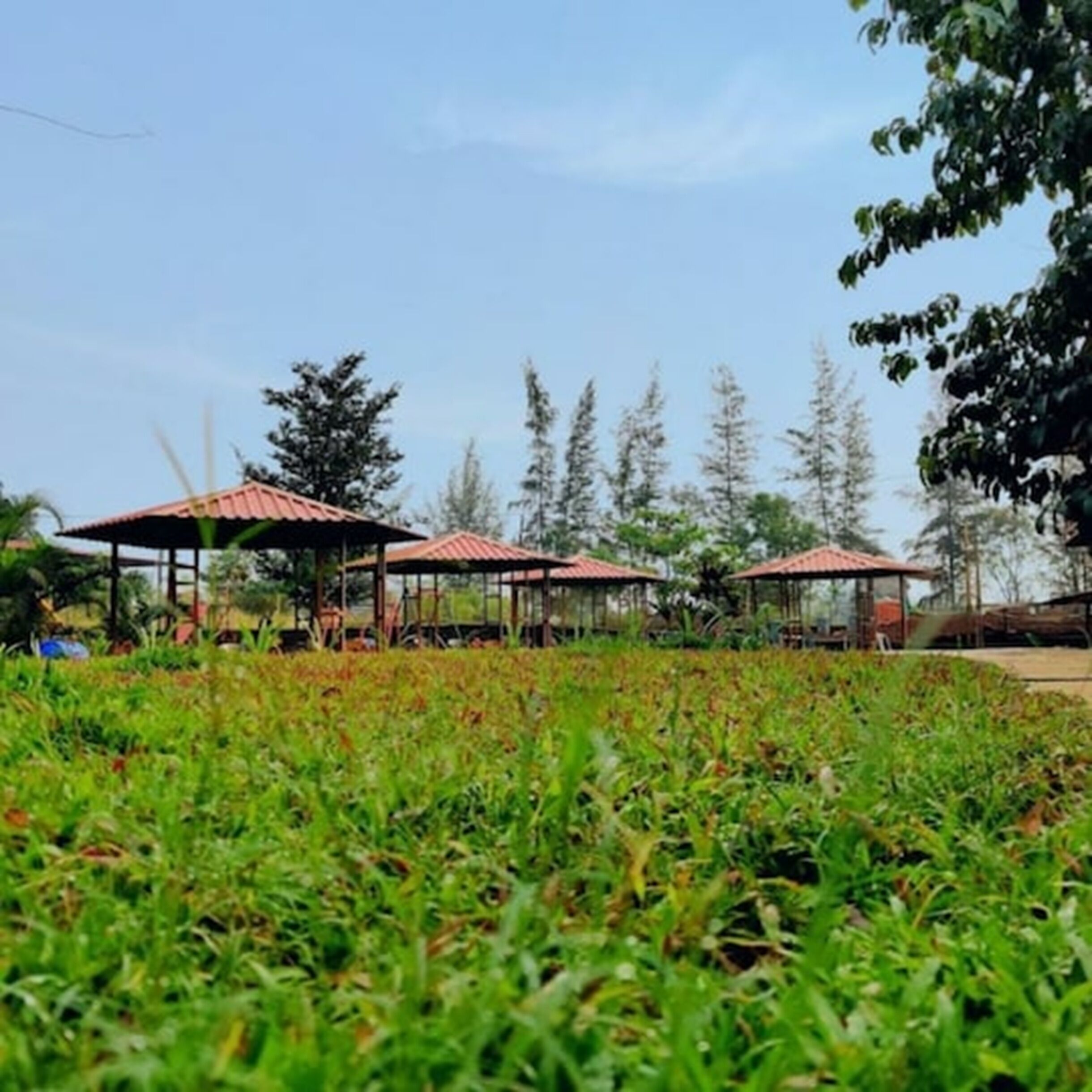 A grassy area with several red-roofed structures, likely gazebos, surrounded by trees.