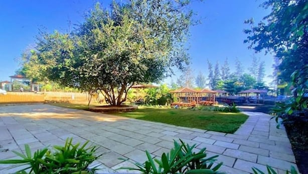 Un patio con un árbol grande, un pabellón y un sendero pavimentado.
