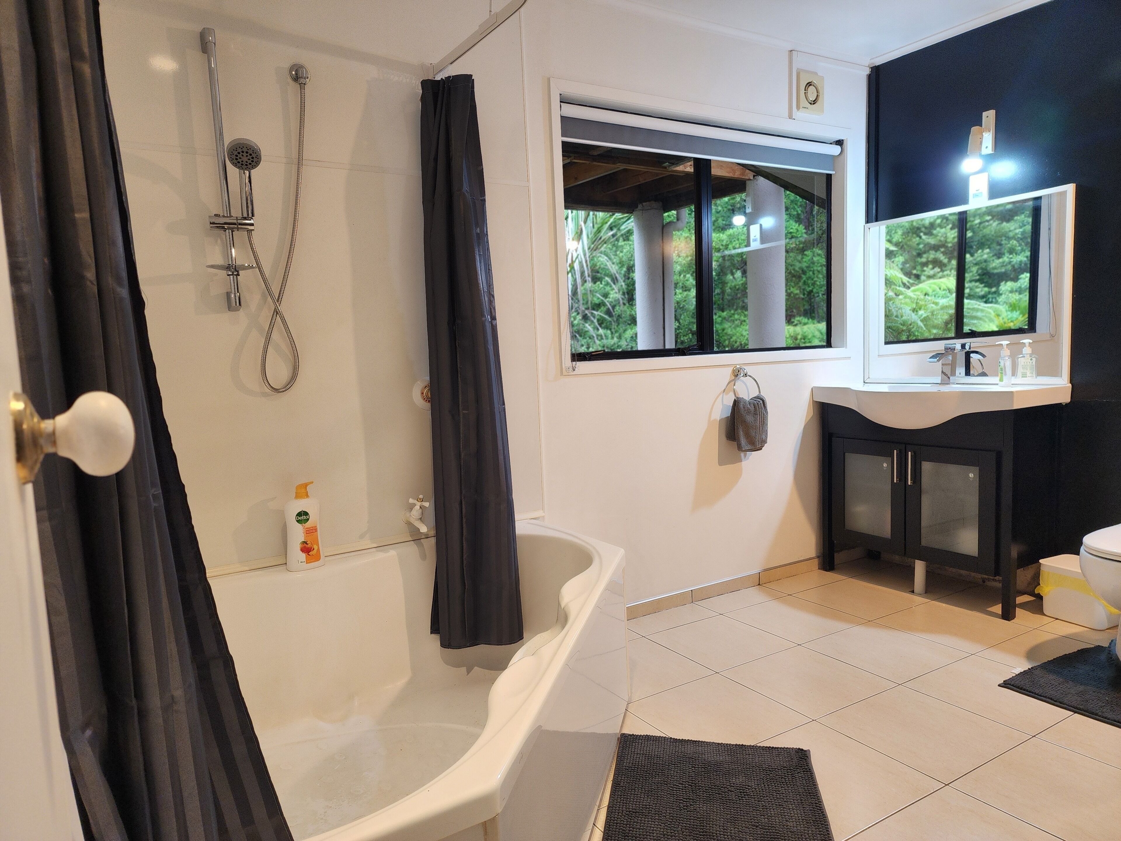 Hair dryer, bidet, towels, soap