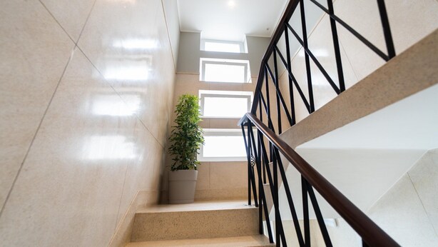 Una escalera con una planta en maceta, baranda metálica y piso de baldosas.