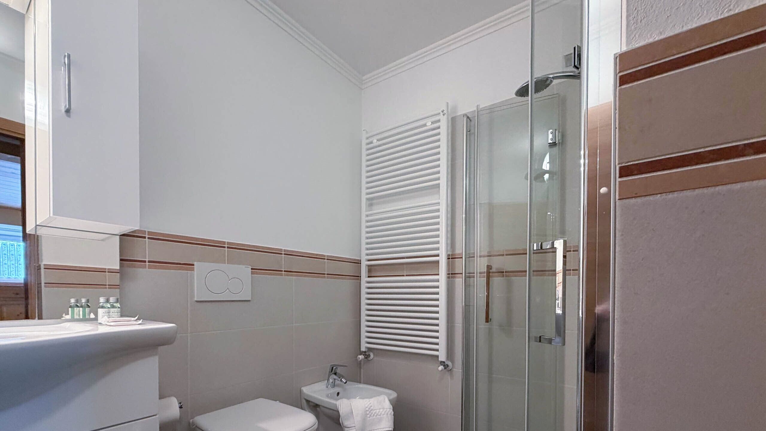 Dusche, Haartrockner, Bidet, Handtücher