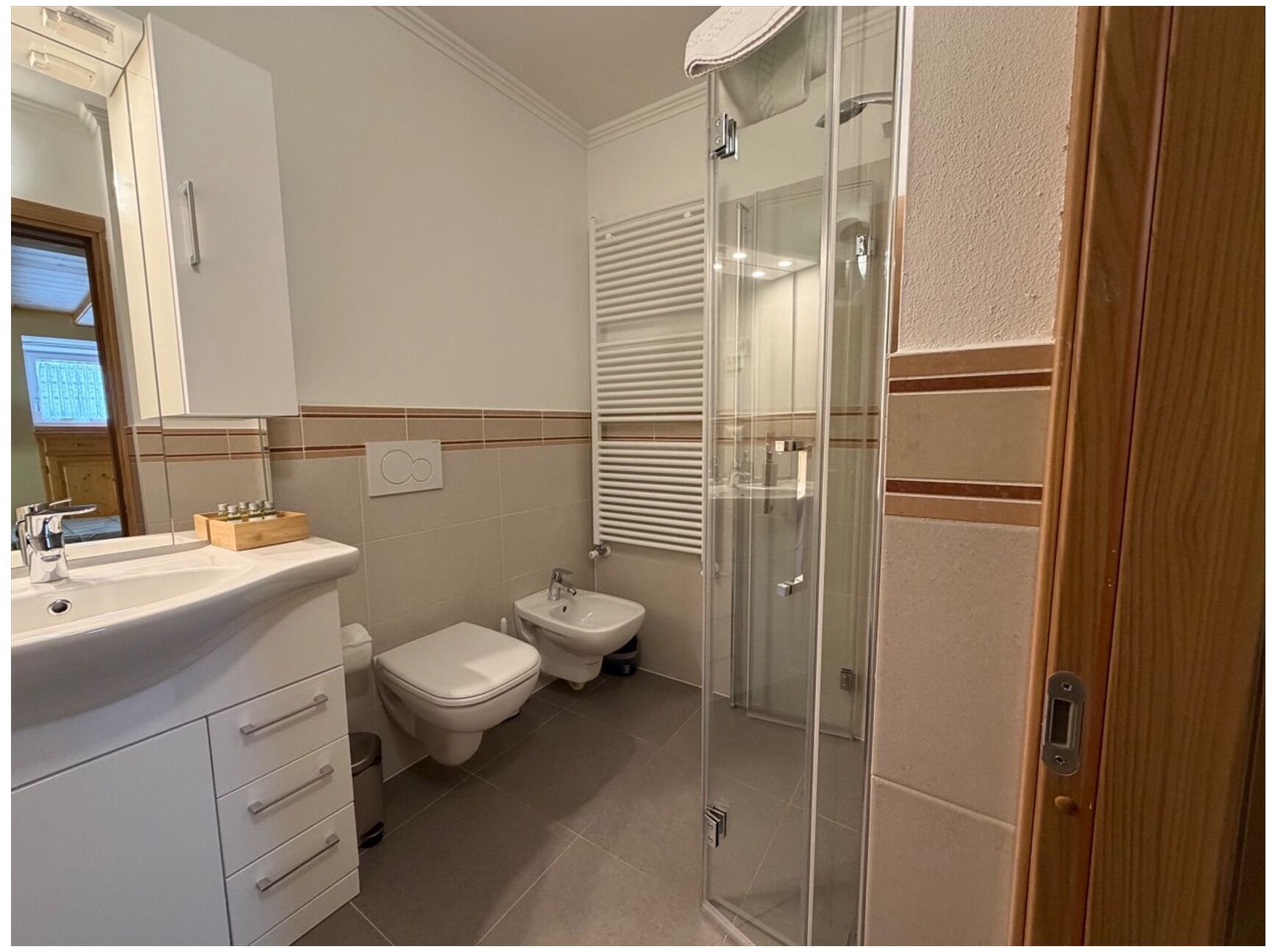 Shower, hair dryer, bidet, towels